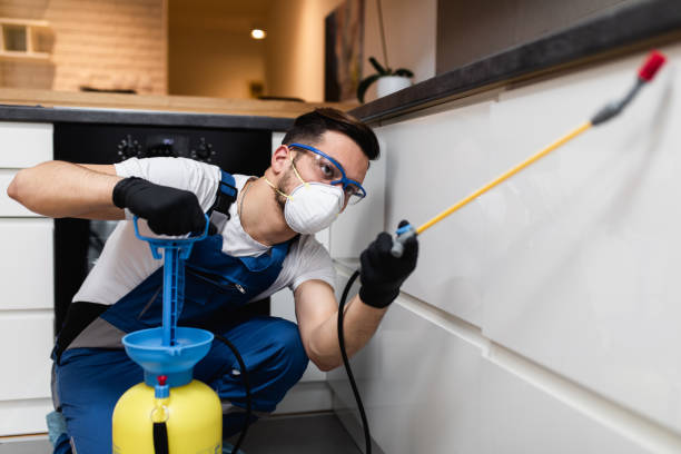 Best Pest Prevention Services  in Ahuimanu, HI