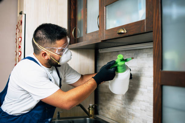 Best Residential Pest Control  in Ahuimanu, HI