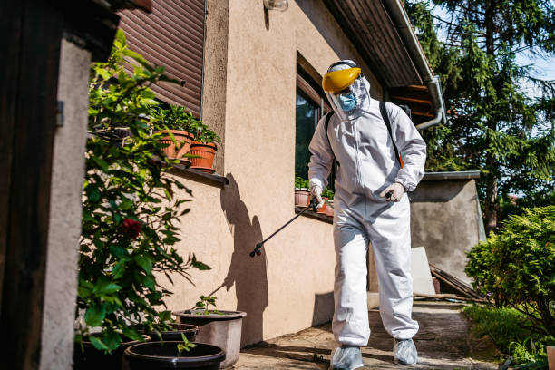 Best Insect Control  in Ahuimanu, HI