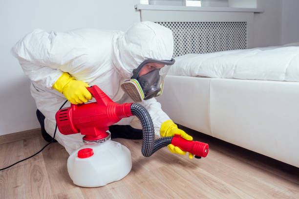 Best Termite Control Services  in Ahuimanu, HI
