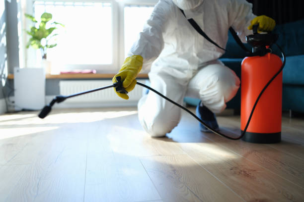 Best Local Pest Control Services  in Ahuimanu, HI