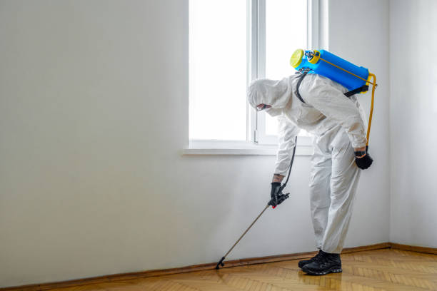 Professional Pest Control in Ahuimanu, HI