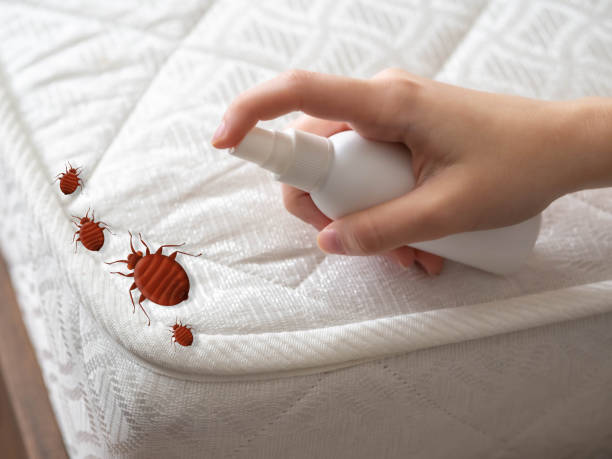 Best Pest Control Near Me  in Ahuimanu, HI