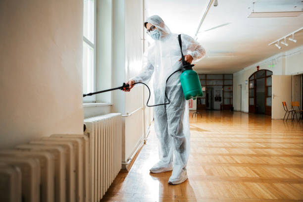 Best Flea Control Services  in Ahuimanu, HI